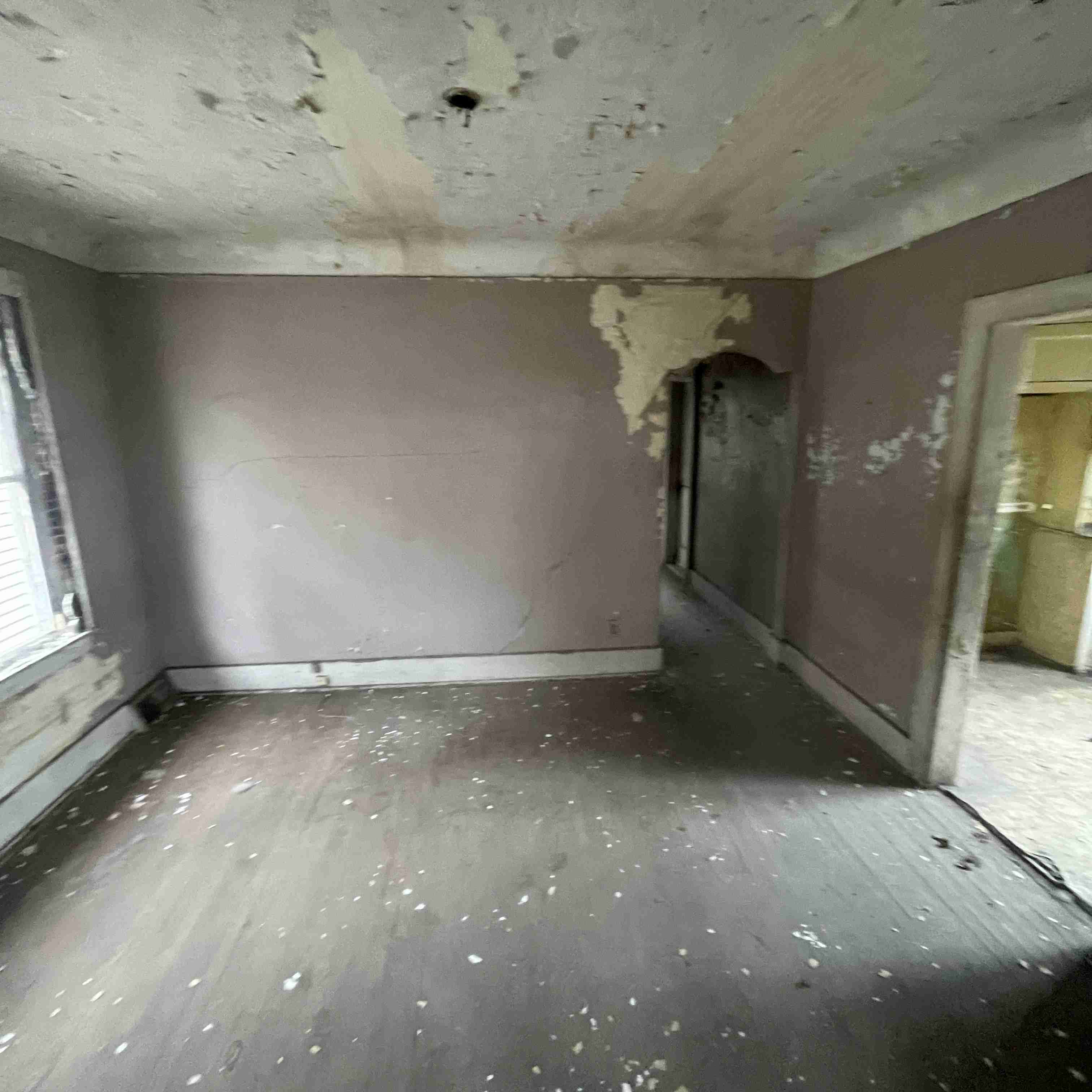 4039 Tuxedo (26).jpg